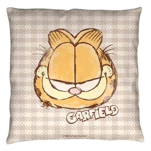 Trevco GAR534-PLO3-14x14 14 x 14 in. Garfield & Watercolor Throw Pillo