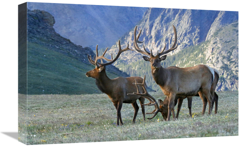 22 in. In the Mountains Art Print - Vic Schendel