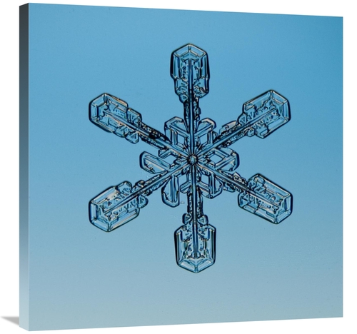 Global Gallery GCS-397280-3030-142 30 x 30 in. Snowflake Seen Through 