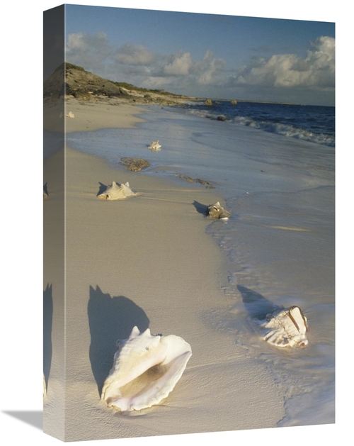 Global Gallery GCS-452856-1218-142 12 x 18 in. Reef Harbor Beach, 