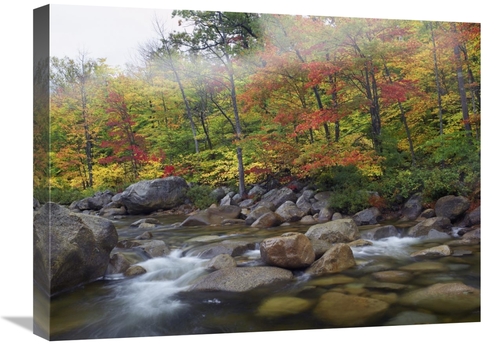 Global Gallery GCS-397129-1824-142 18 x 24 in. Swift River Flowing Thr