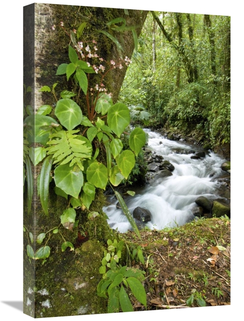 Global Gallery GCS-397323-1624-142 16 x 24 in. Creek Flowing Through R
