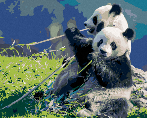 Paint by Numbers - PANDA AND BAMBOO