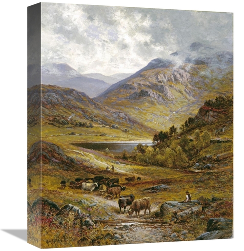 Global Gallery GCS-266393-16-142 16 in. Longhorn Cattle Art Print - Al