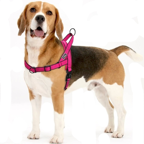 No Pull Dog Harness Adjustable Breathable Step In