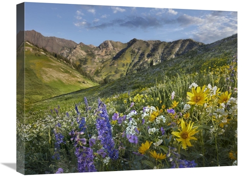 Global Gallery GCS-396499-1824-142 18 x 24 in. Larkspur & Sunflowers&#