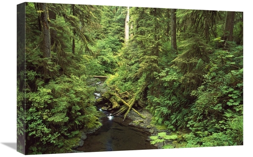 Global Gallery GCS-452841-1624-142 16 x 24 in. Wilaby Creek, Olymp