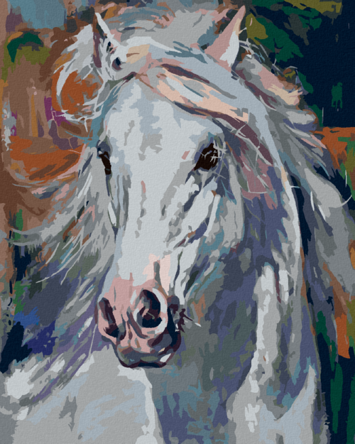 Paint by Numbers - WHITE HORSE WITH A FLOWING MANE