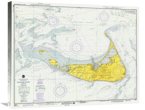 Global Gallery GCS-450526-30-142 30 in. Nautical Chart - Nantucket Isl
