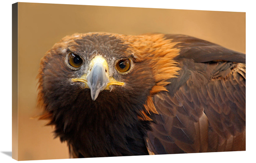 Global Gallery GCS-486526-36-142 36 in. Ready for Dinner Art Print - V