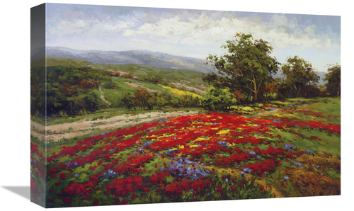 Global Gallery GCS-128432-1218-142 12 x 18 in. Campo Di Fiore II Art P