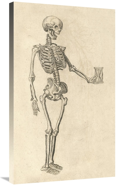 Global Gallery GCS-454961-36-142 36 in. Human Skeleton with Hourglass 