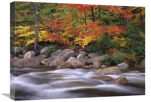 Global Gallery GCS-396839-1824-142 18 x 24 in. Autumn Along Swift Rive