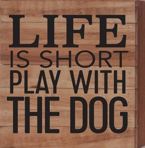 Artistic Reflections RE1139n 10.5 x 10.5 in. Life Is Short Play with t