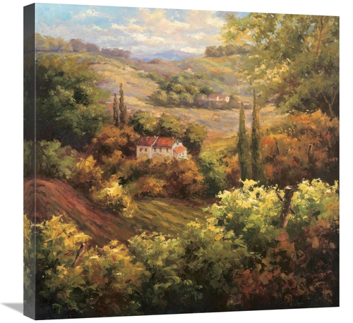 Global Gallery GCS-132111-2424-142 24 x 24 in. Mediterranean Valley Fa