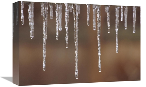 Global Gallery GCS-452846-1218-142 12 x 18 in. Single Strand of Icicle