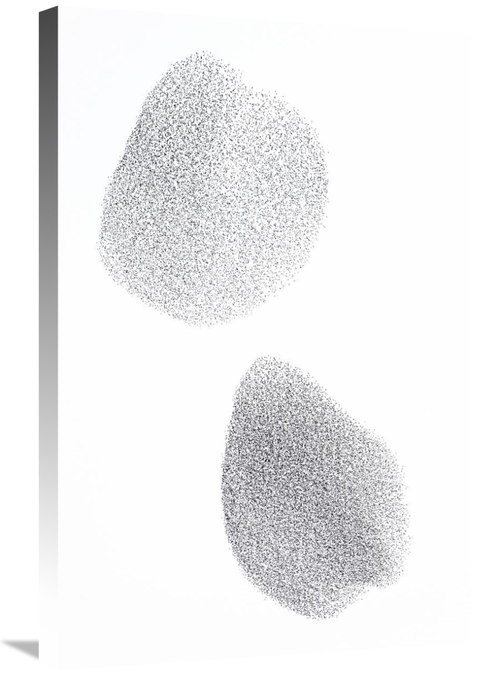 Global Gallery GCS-395368-2030-142 20 x 30 in. Common Starling Flock F