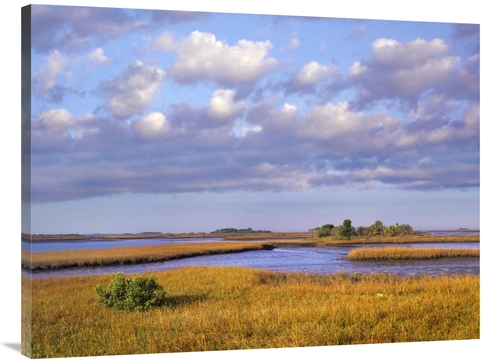 Global Gallery GCS-396103-3040-142 30 x 40 in. Saltwater Marshes at Ce
