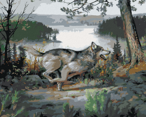 Zuty - Paint by Numbers - WOLF ON THE RUN, POND AND TREES (JOE