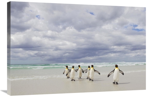 Global Gallery GCS-395356-2436-142 24 x 36 in. King Penguin Group Retu