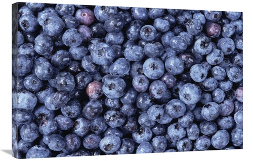 Global Gallery GCS-452862-2436-142 24 x 36 in. Bilberry Group, Nor