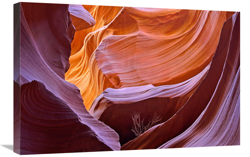Global Gallery GCS-486639-30-142 30 in. Tumbleweed Canyon Art Print - 