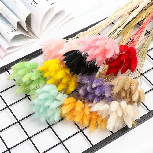 20/50pcs Colorful Natural Dried Flowers Artificial