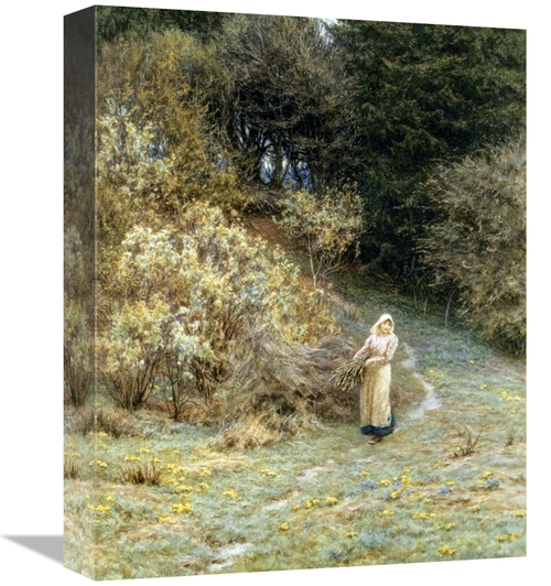 Global Gallery GCS-281659-16-142 16 in. in the Primrose Wood Art Print