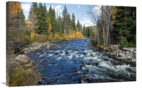 Global Gallery GCS-486629-40-142 40 in. The Elk River Art Print - Vic 