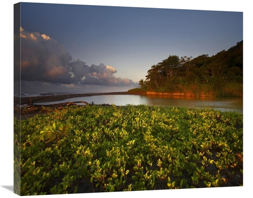 Global Gallery GCS-396494-30-142 30 in. Lagoon Near Coastline, Cor