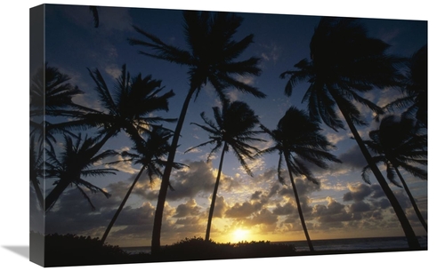 Global Gallery GCS-452851-1624-142 16 x 24 in. Coconut Palm Trees At S