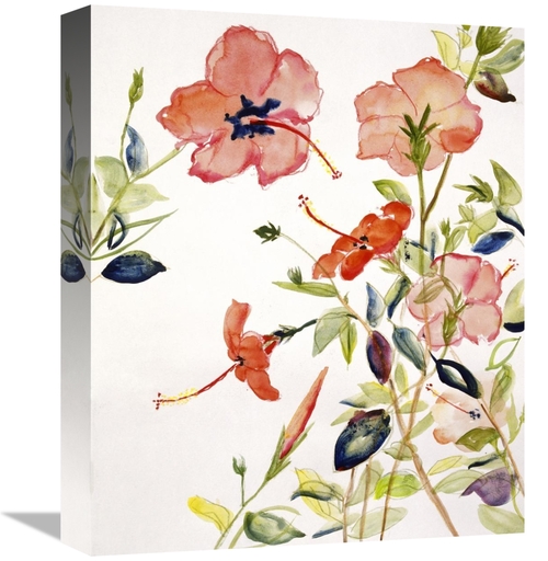 16 in. Hibiscus Flowerpiece Art Print - Sir Roy Calne