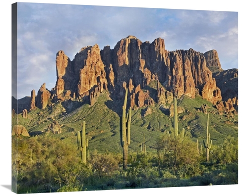 Global Gallery GCS-396908-36-142 36 in. Saguaro Cacti & Superstition M