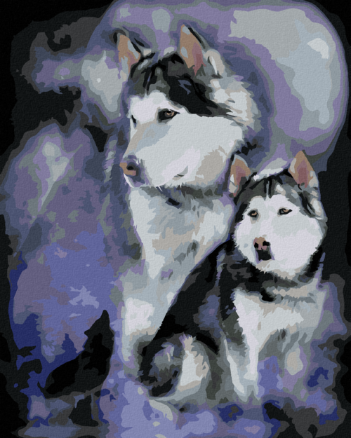 Zuty - Paint by Numbers â€“ ALASKAN MALAMUTE (CAROL CAVALARIS), 40x50