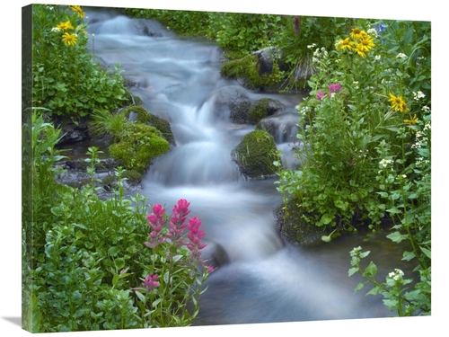 Global Gallery GCS-397012-2835-142 28 x 35 in. Orange Sneezeweed & Ind