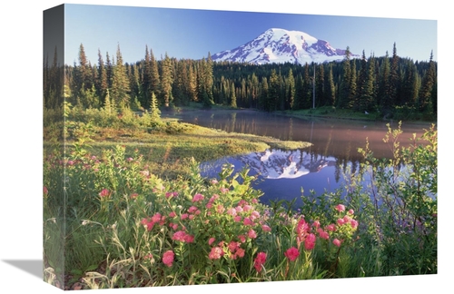 Global Gallery GCS-397028-1216-142 12 x 16 in. Mt Rainier & Wildflower