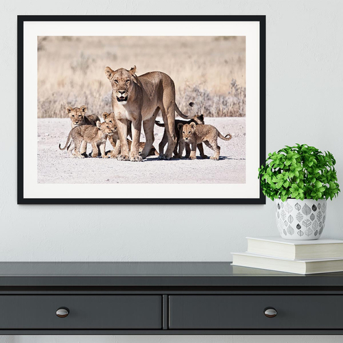 Lioness and cubs Framed Print