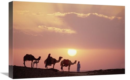 Global Gallery GCS-452938-1624-142 16 x 24 in. Dromedary Camels & Bedo