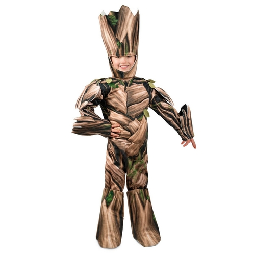 Princess Paradise 278144 Halloween Boys Avengers Infinity Wars Adolesc