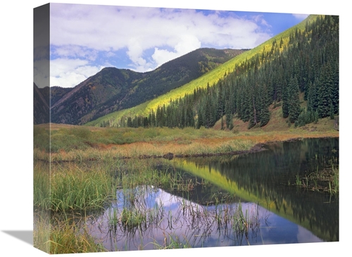 Global Gallery GCS-396728-16-142 16 in. Pond & Mountains, Maroon B