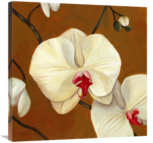 Global Gallery GCS-137411-3030-142 30 x 30 in. Orquideas Blancas I Art