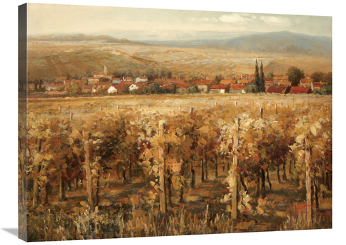 Global Gallery GCS-130709-2432-142 24 x 32 in. Italian Golden VIneyard