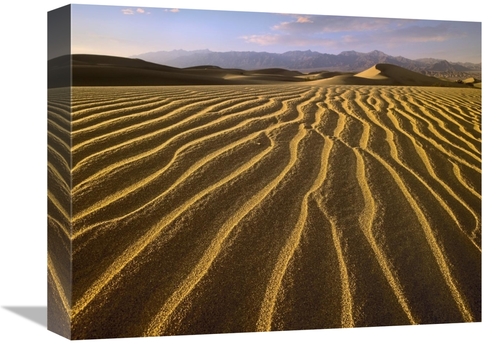 Global Gallery GCS-452222-1216-142 12 x 16 in. Sand Dunes, Death V