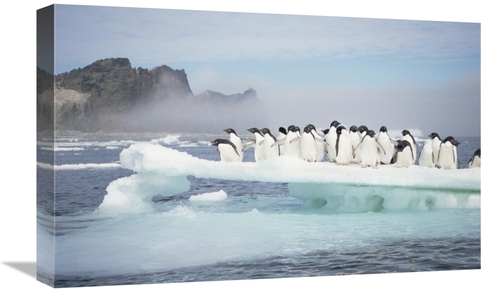 Global Gallery GCS-451543-22-142 22 in. Adelie Penguins Crowding on Me