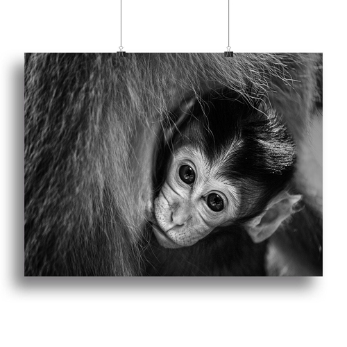 A Mothers Love Canvas Print or Poster