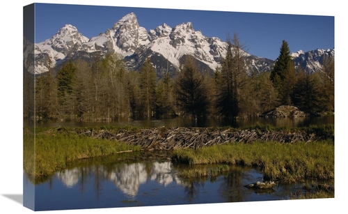 Global Gallery GCS-453099-1624-142 16 x 24 in. American Beaver Pond wi