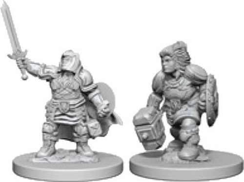 Dungeons & Dragons Nolzurs Marvelous Unpainted Dwarf Female Paladin Mi