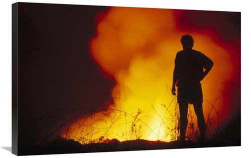 Global Gallery GCS-451202-2436-142 24 x 36 in. Admiring Nocturnal Disp