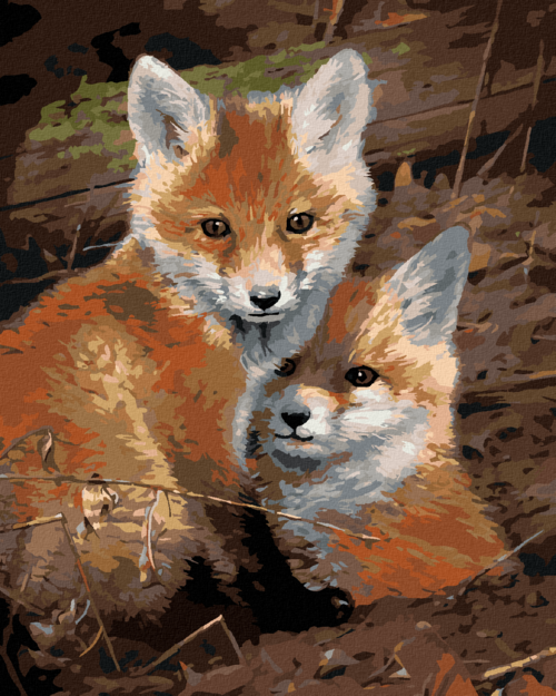 Zuty - Paint by Numbers â€“ FOX CUBS (JOE HAUTMAN), 40x50 cm