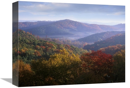 Global Gallery GCS-452273-1216-142 12 x 16 in. Autumn Deciduous Forest